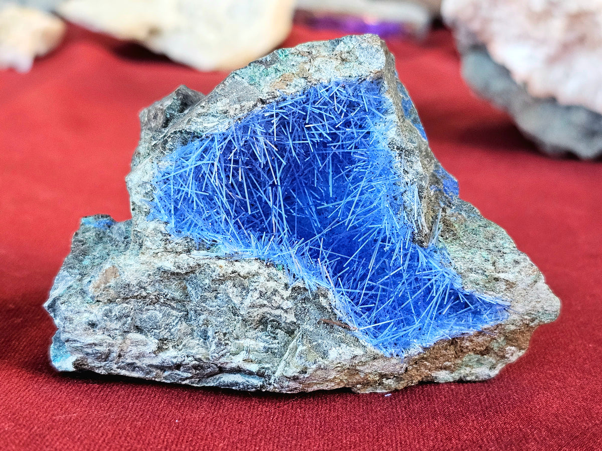 Blue Needle Ironstone in Raw Malachite & Azurite Geode – Erika's