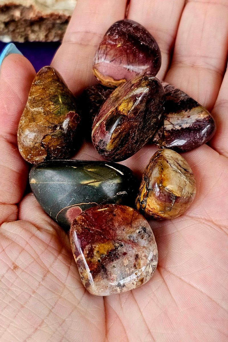 Cherry Creek Jasper Crystal Tumble ❤️🍒🤎💙💛 – Erika's Classy