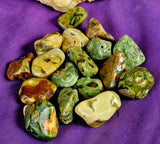 Orbicular Ocean Jasper Crystal Tumble 🪸💚🤩🌊