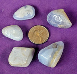 Blue Lace Agate Crystal Tumble ✨🤍🔵🩵💙💎