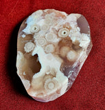 Flower Agate Slab