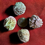 Desert Rose Specimen