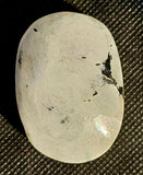 Rainbow Moonstone Palm Stone