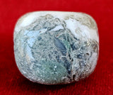 Tree Agate Cube