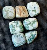 Tree Agate Cube