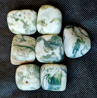 Tree Agate Cube