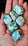 Tree Agate Cube