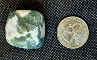 Tree Agate Cube