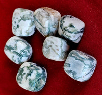 Tree Agate Cube