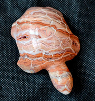 Mexican Lace Agate Turtle Carving 🐢🩷