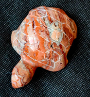 Mexican Lace Agate Turtle Carving 🐢🩷