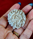 Desert Rose Specimen