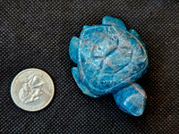 Blue Apatite Crystal Turtle Carving 💙🐢🔵