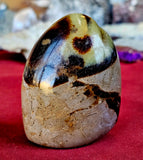 Septarian Freeform w/Druzy
