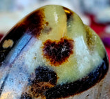 Septarian Freeform w/Druzy