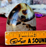 Septarian Freeform w/Druzy