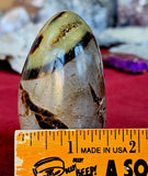 Septarian Freeform w/Druzy