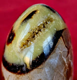 Septarian Freeform w/Druzy