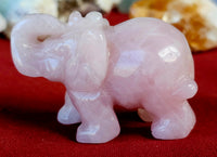 Rose Quartz Crystal Elephant Carving 🐘🩷✨