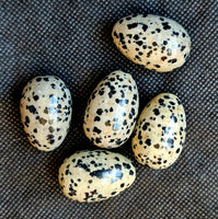 Dalmatian Jasper Egg 🥚