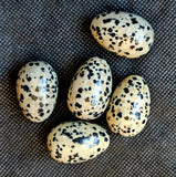 Dalmatian Jasper Egg 🥚