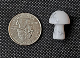 Howlite Mini Crystal Mushroom 🍄