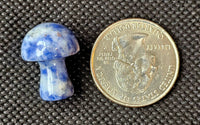 Blue Spotted Jasper Mini Crystal Mushroom 🍄