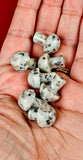 Kiwi Jasper Mini Crystal Mushroom 🍄🥝