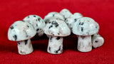 Kiwi Jasper Mini Crystal Mushroom 🍄🥝