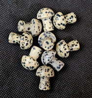 Dalmatian Jasper Mini Crystal Mushroom 🍄