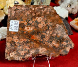 Lapidary Grade Red Leopardskin Jasper Crystal Slab ❤️💗🐆