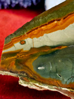 Lapidary Grade Gary Green Jasper Crystal Slab 💚💛