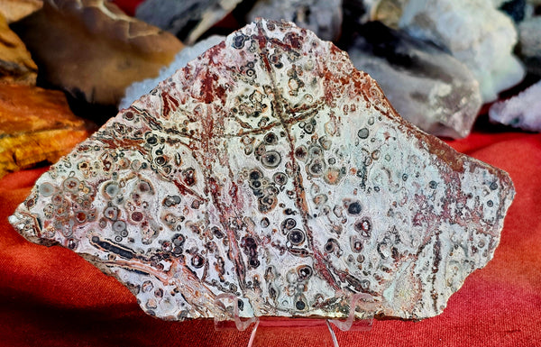 Lapidary Grade Leopardskin Crystal Slab ❤️🐆