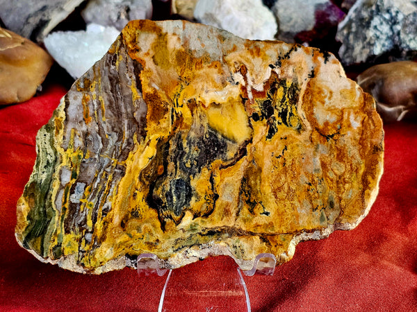 LG. Lapidary Grade Arizona Jasper Crystal Slab 💛