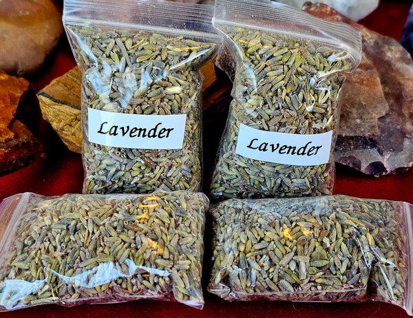 Fresh Cut Organic Lavender Herb 🌿