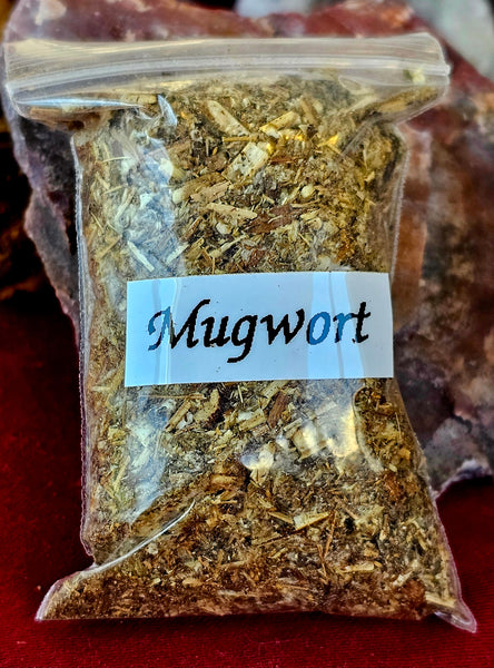 Fresh Cut Organic Mugwort Herb 🌿