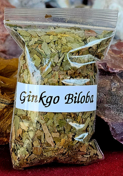 Fresh Cut & Dried Organic Ginkgo Biloba Herb 🌿🫚