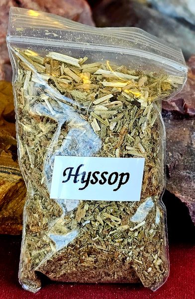 Fresh Cut Organic Hyssop Herb 🌿