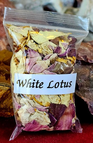 Fresh Cut Organic White Lotus Herb 🌿