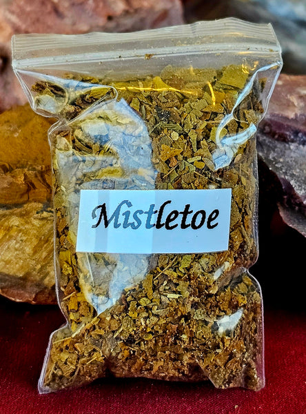 Fresh Cut Organic Mistletoe Herb 🌿