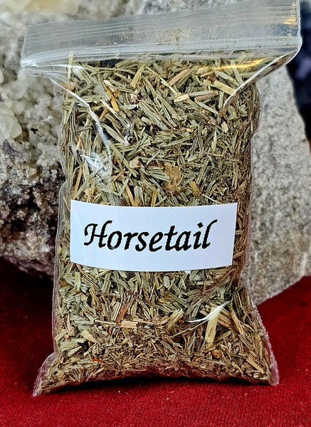 Fresh Cut Horsetail Organic Herb 🌿🐎💚