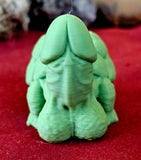 3D Printed Peen-Turtle 🐢🍆
