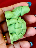 3D Printed Peen-Turtle 🐢🍆