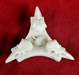 Triple Raven Skull Crystal Sphere Holder 💀🔮✨🐦‍⬛