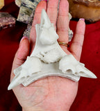 Triple Raven Skull Crystal Sphere Holder 💀🔮✨🐦‍⬛