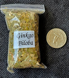 Fresh Cut & Dried Organic Ginkgo Biloba Herb 🌿🫚