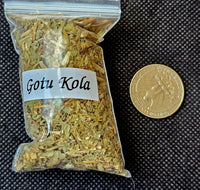 Fresh Cut Organic Gotu Kola Herb 🌿