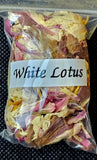 Fresh Cut Organic White Lotus Herb 🌿