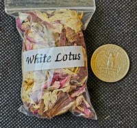 Fresh Cut Organic White Lotus Herb 🌿