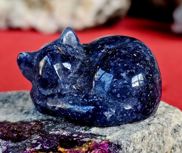 Sodalite Crystal Sleeping Kitty Carving 😻😴